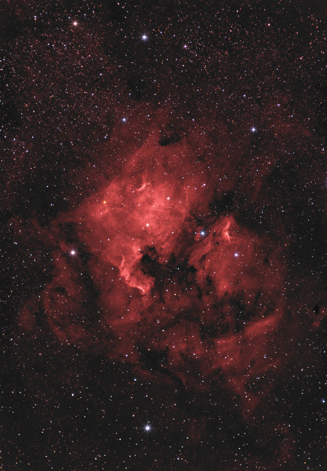 NGC 7000